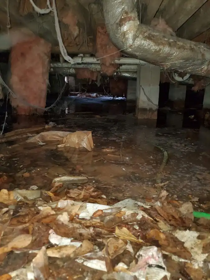 Crawl space flood assessment for Leak Detection & Repair in Somerton